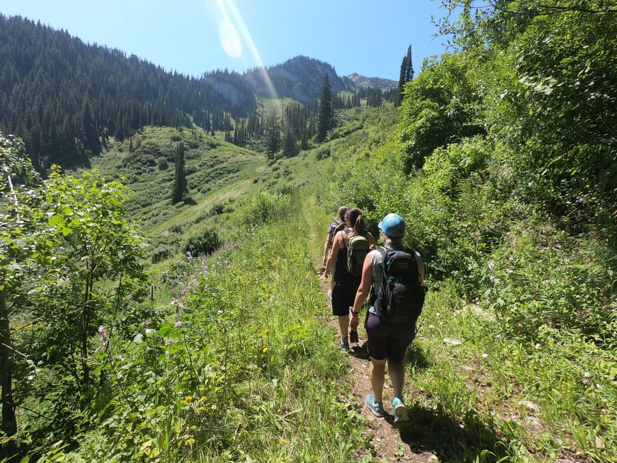 Specialty Guided Hikes (Ages 17+)