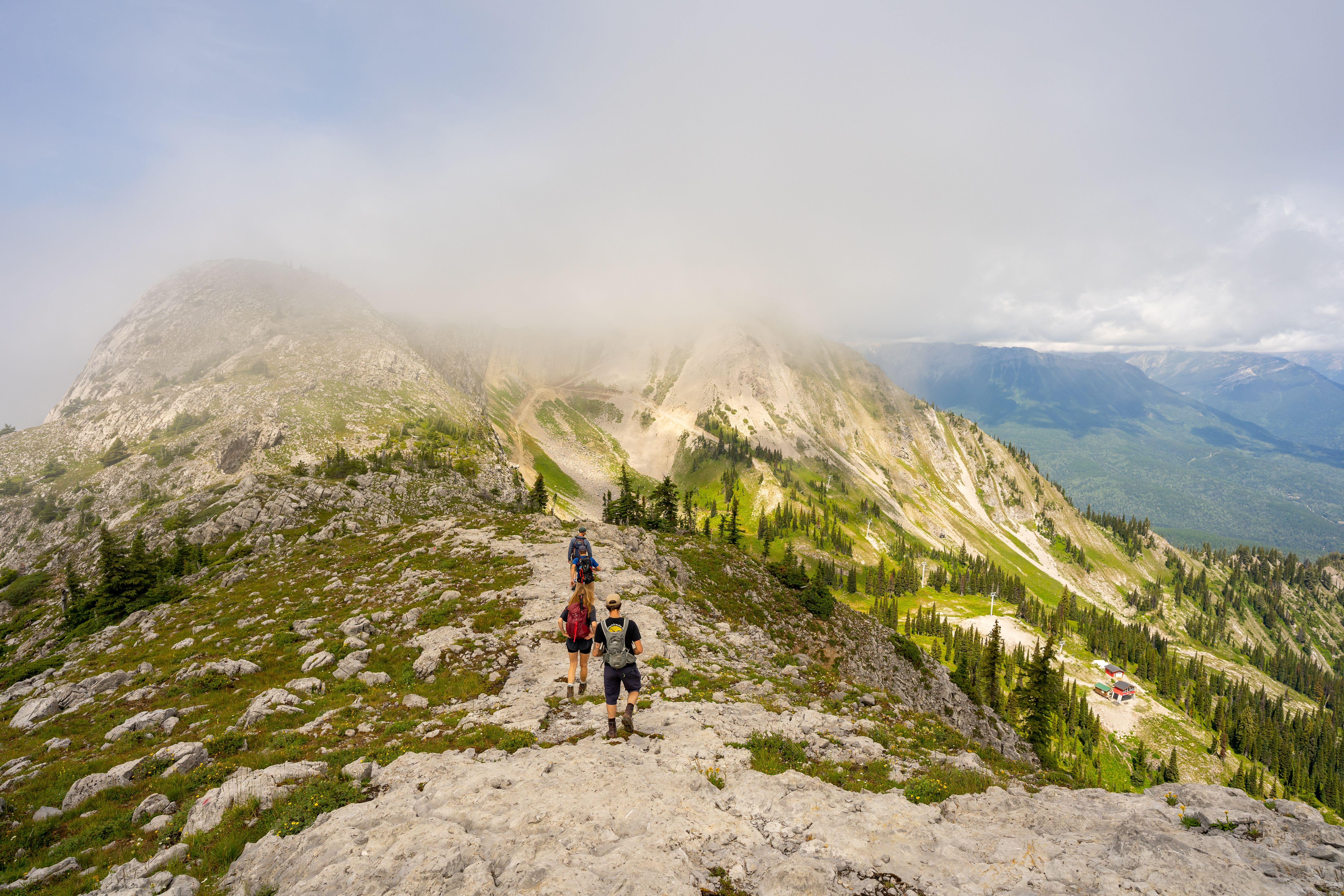 Private Half Day Guided Nature Hikes