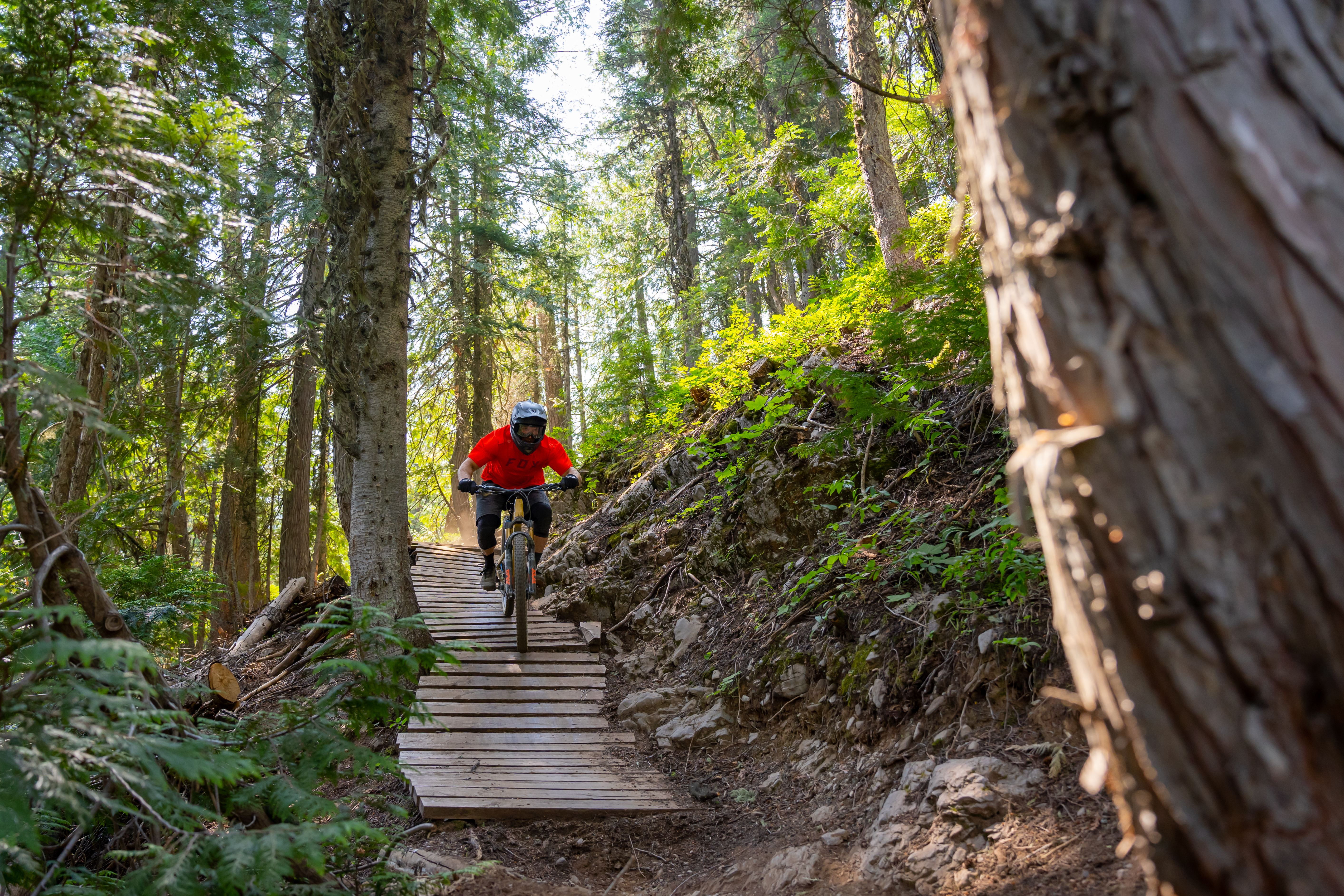 Mountain Bike Full Day Private Lesson Package (Ages 13+)