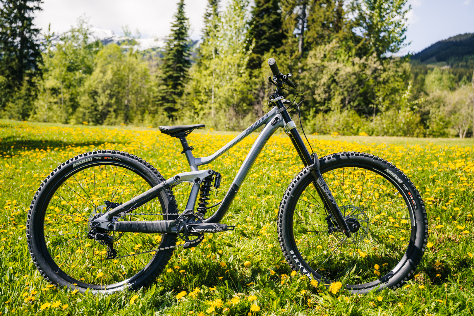 Senior Full Day Downhill Bike Rental