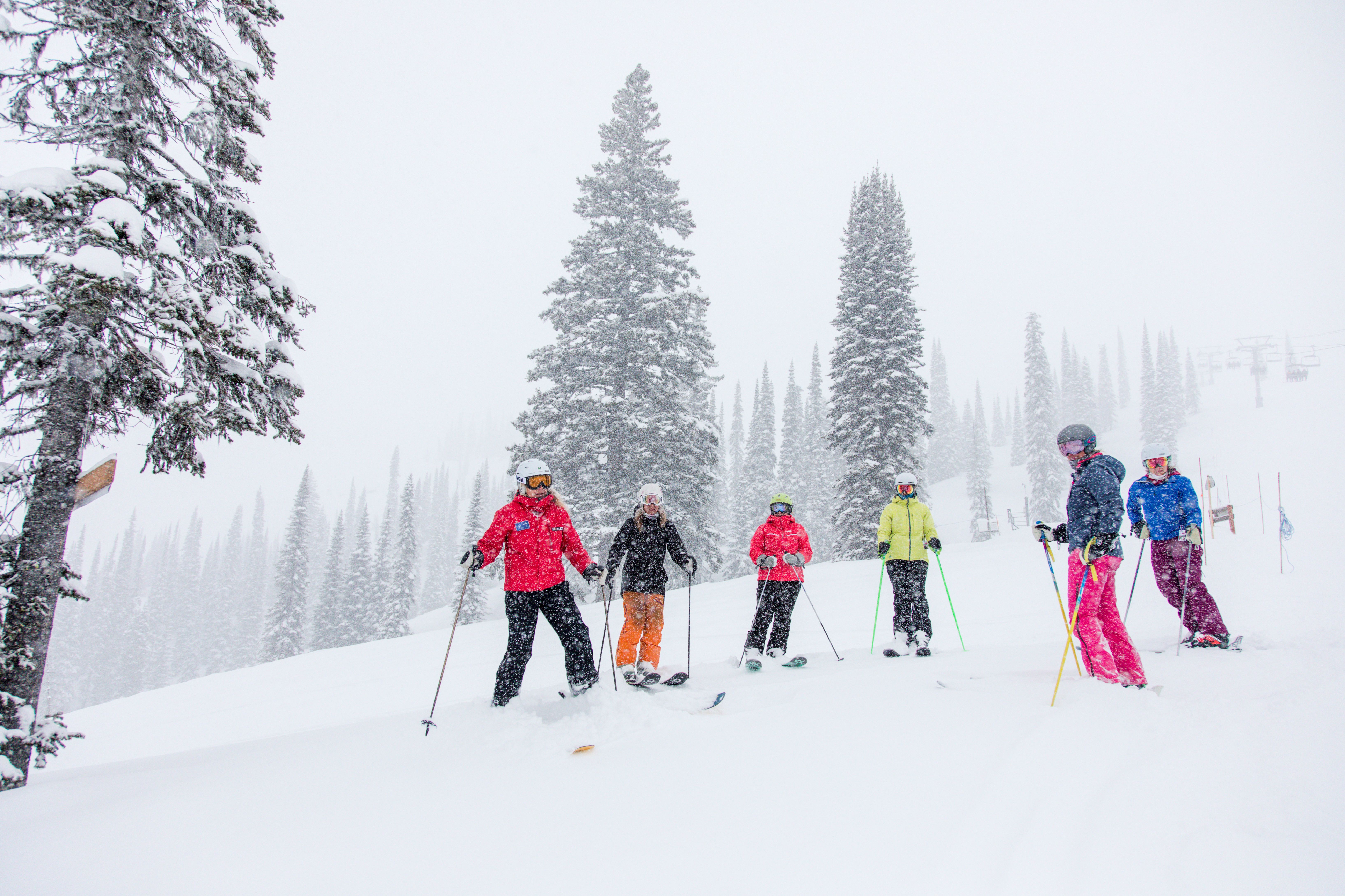 TELUS Learn to Ski Group Full Day Lesson: First Day (Age 13+)