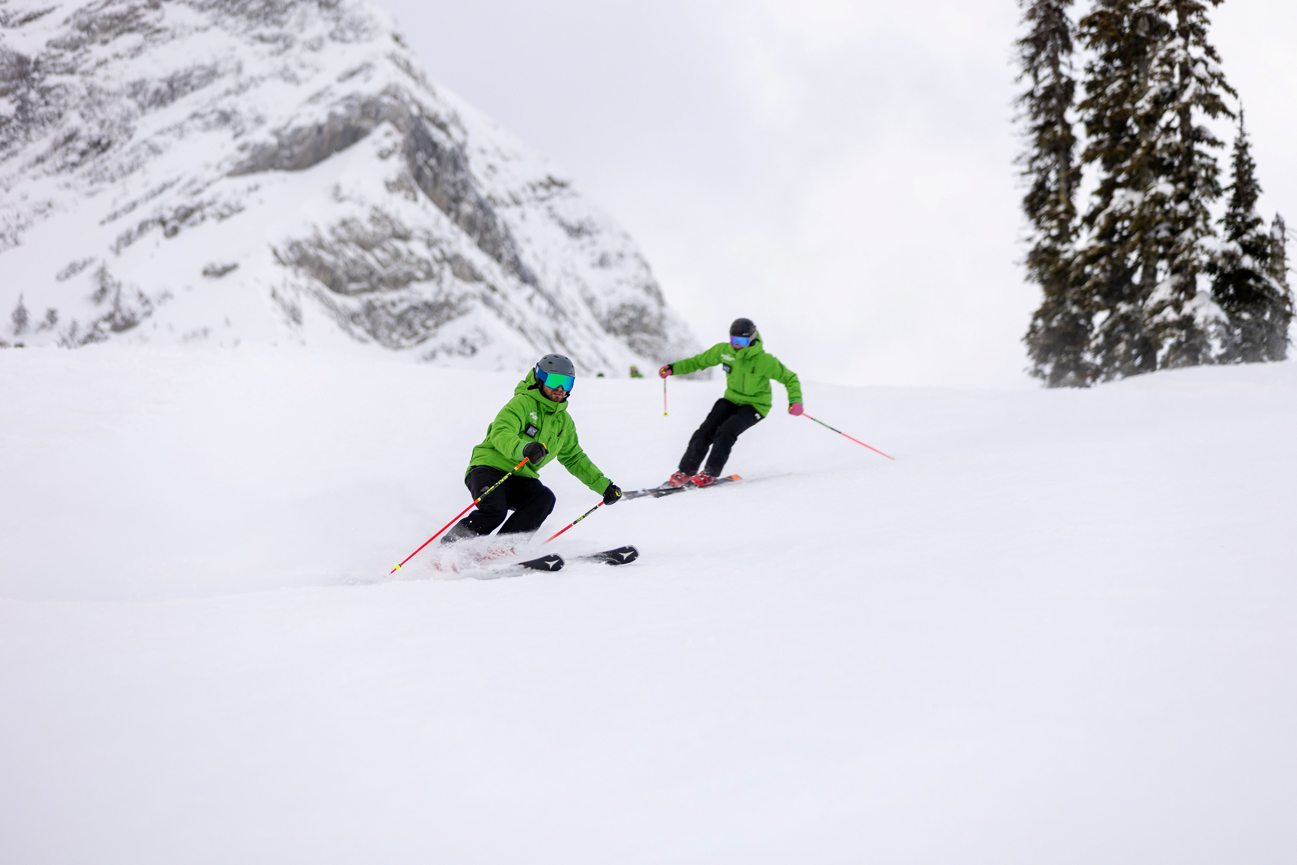 Performance Academy Private Ski Lesson (Age 18+)