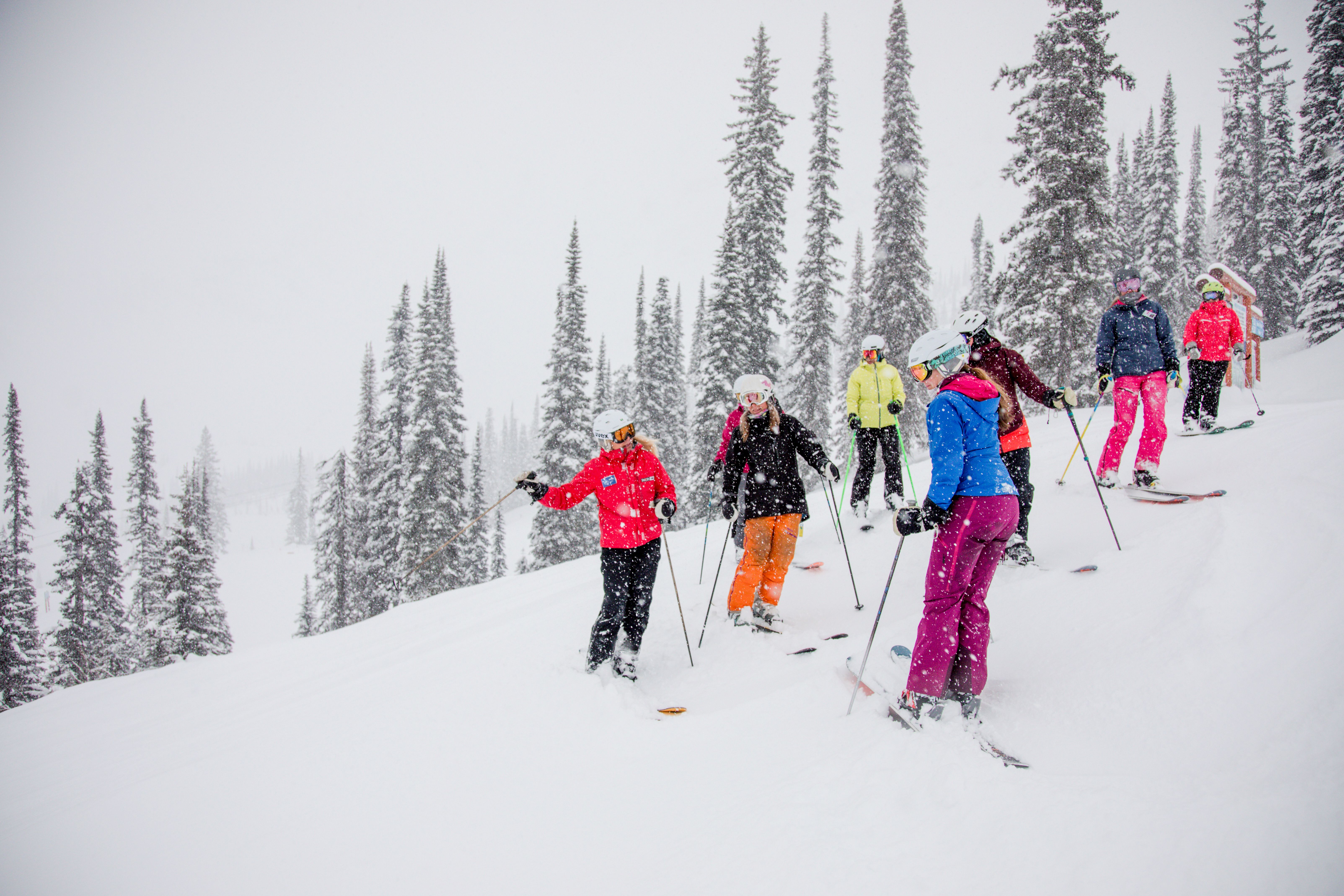 TELUS Learn to Ski Group Full Day Lesson: Novice (Age 13+)